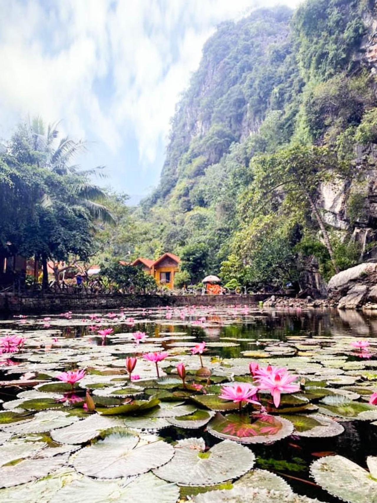 נין בין Tam Coc Rocky Bungalow מראה חיצוני תמונה