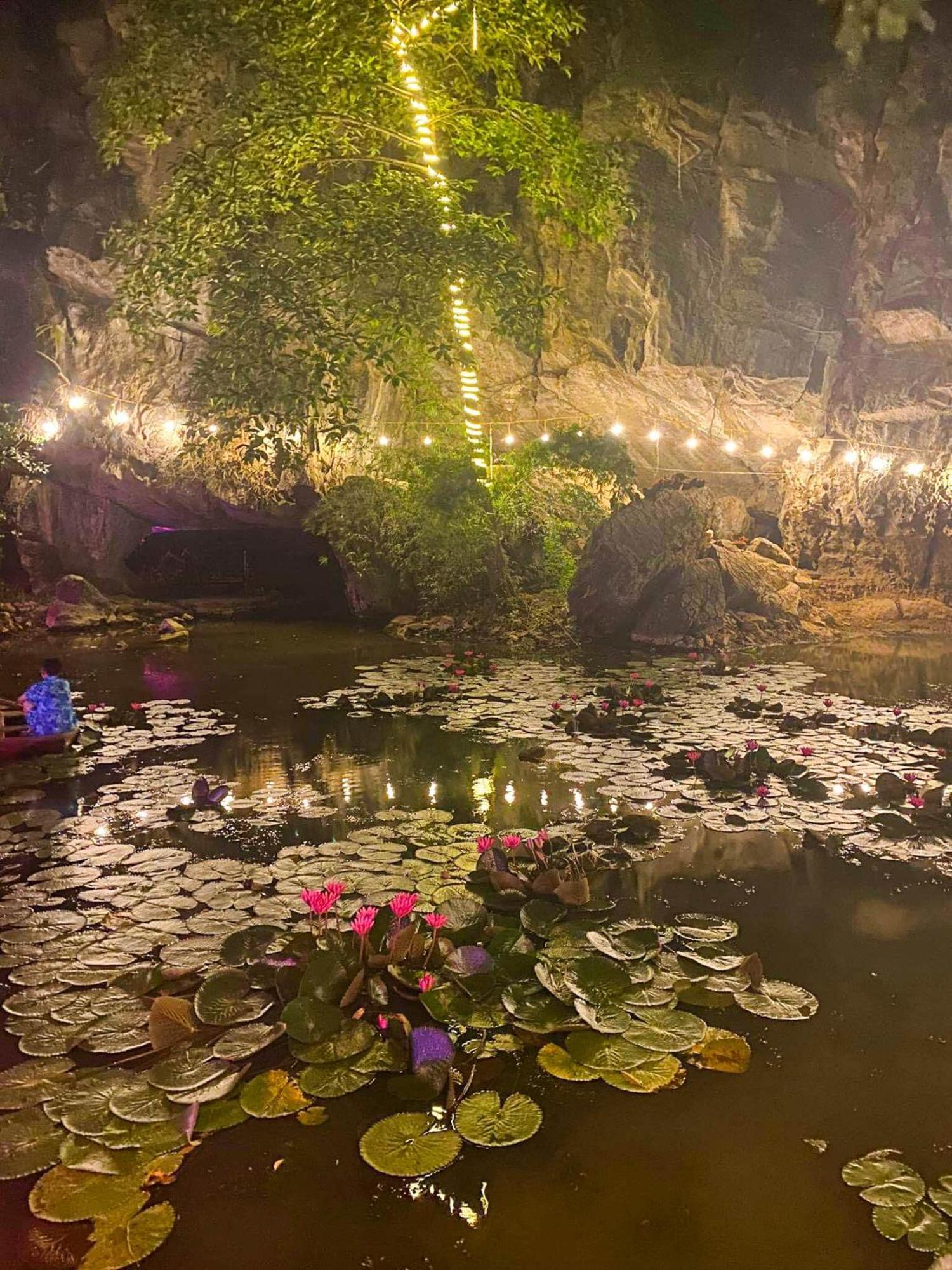נין בין Tam Coc Rocky Bungalow מראה חיצוני תמונה